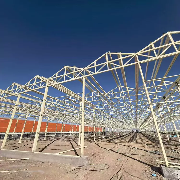 Hvorfor er en drivhusramme i galvanisert stål det beste valget for moderne landbruk